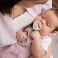 家族で一緒に食べる工夫！日本の食卓に取り入れる離乳食初期のコツ