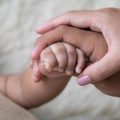 日本の保育園・幼稚園・認定こども園の違いと選び方のポイント