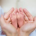 おむつ・おしりふきの定期便＆サブスクサービス徹底比較