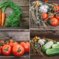 季節ごとの旬の野菜を活用した離乳食初期メニューアイディア集