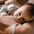 和菓子・スイーツは妊娠中にどの程度食べて良いのか
