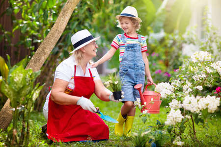 家庭と園の協力体制や保護者会活動の確認方法